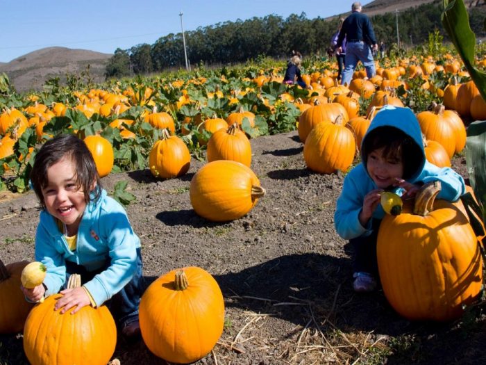 Travel Channel- “Top 10 U.S. Pumpkin Patches”